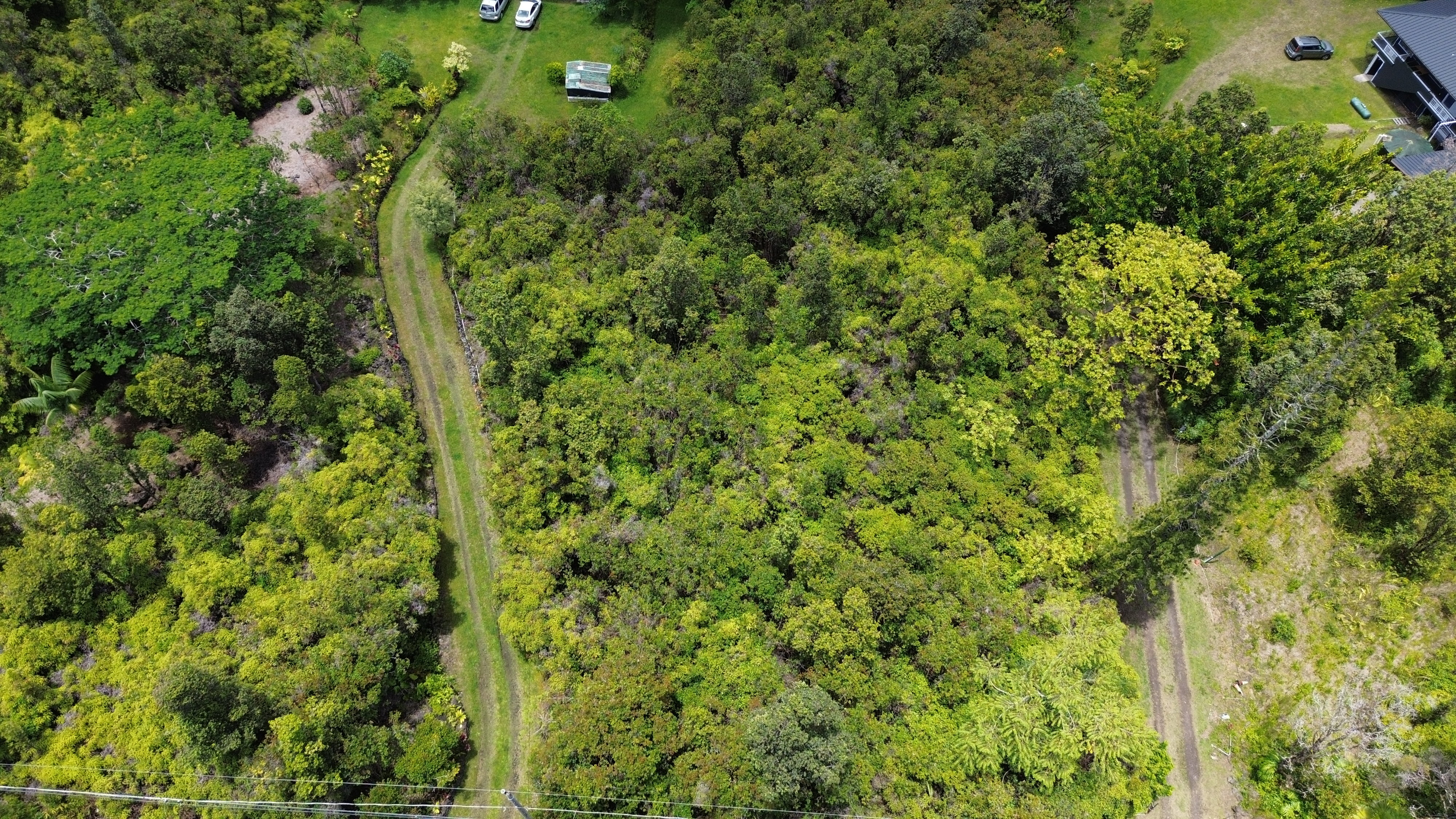 Property Photo: Plumeria St HI 96771