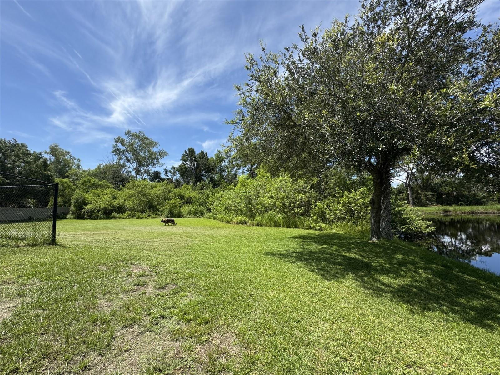 Property Photo: 12532 Twin Branch Acres Road FL 33626
