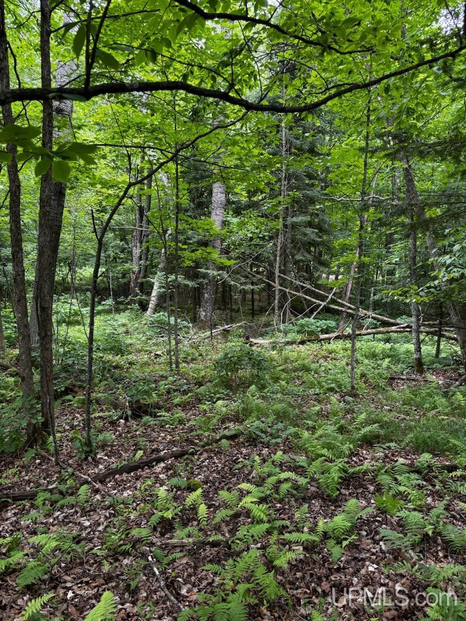 Property Photo: Tbd Gibbs City Road MI 49935
