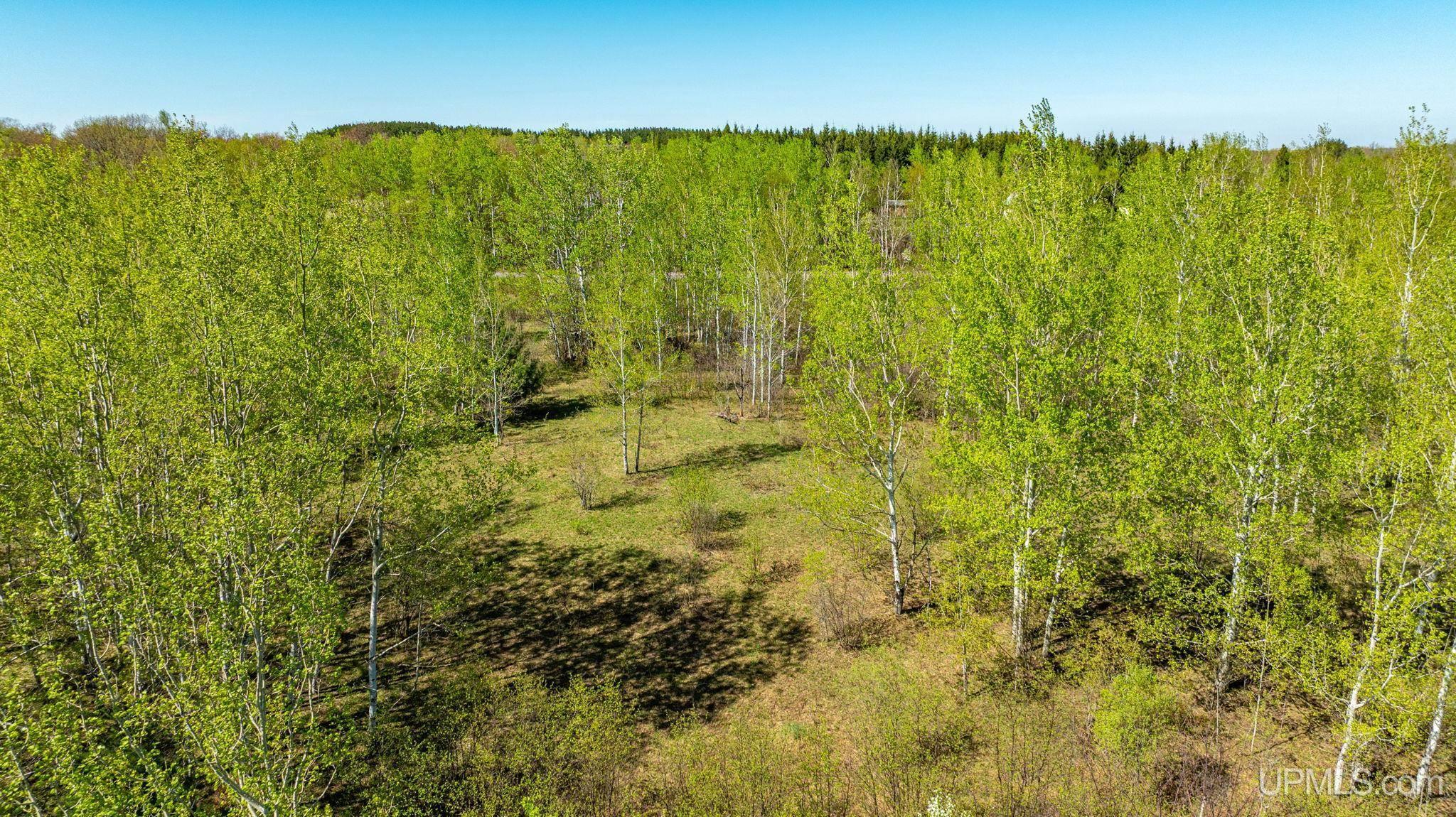 Property Photo: Tbd Lake Annie Cross Cut Road MI 49930