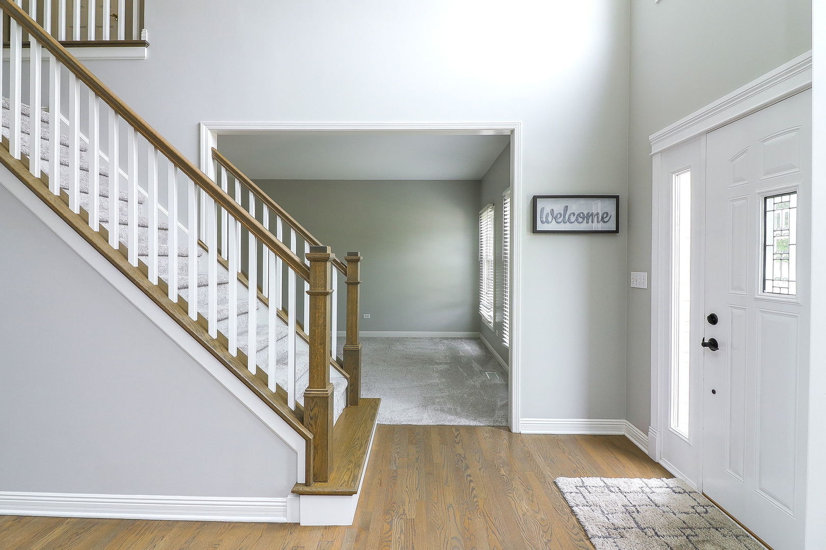 Property Photo: 266 Morgan Valley Drive IL 60543
