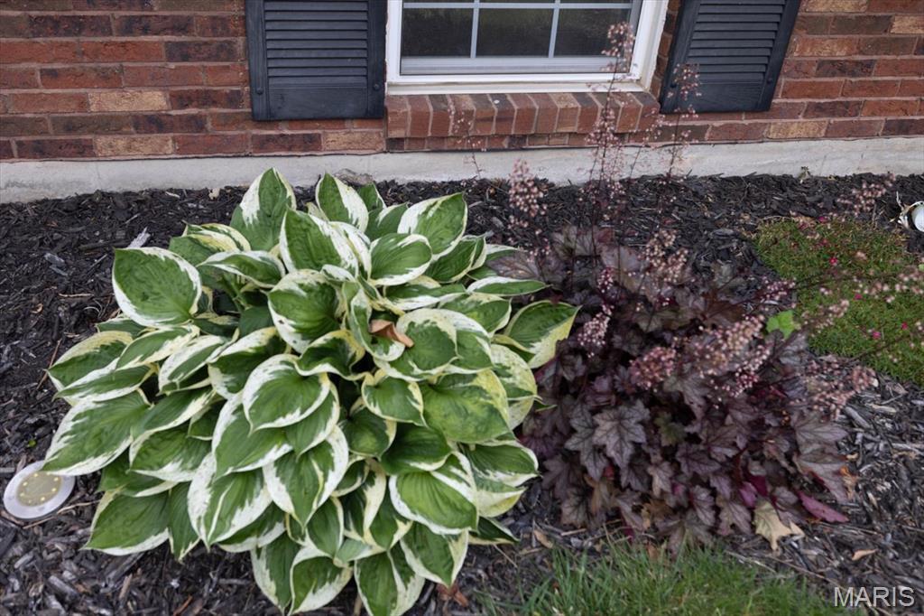 Property Photo: 1715 Foxglove Drive MO 63303