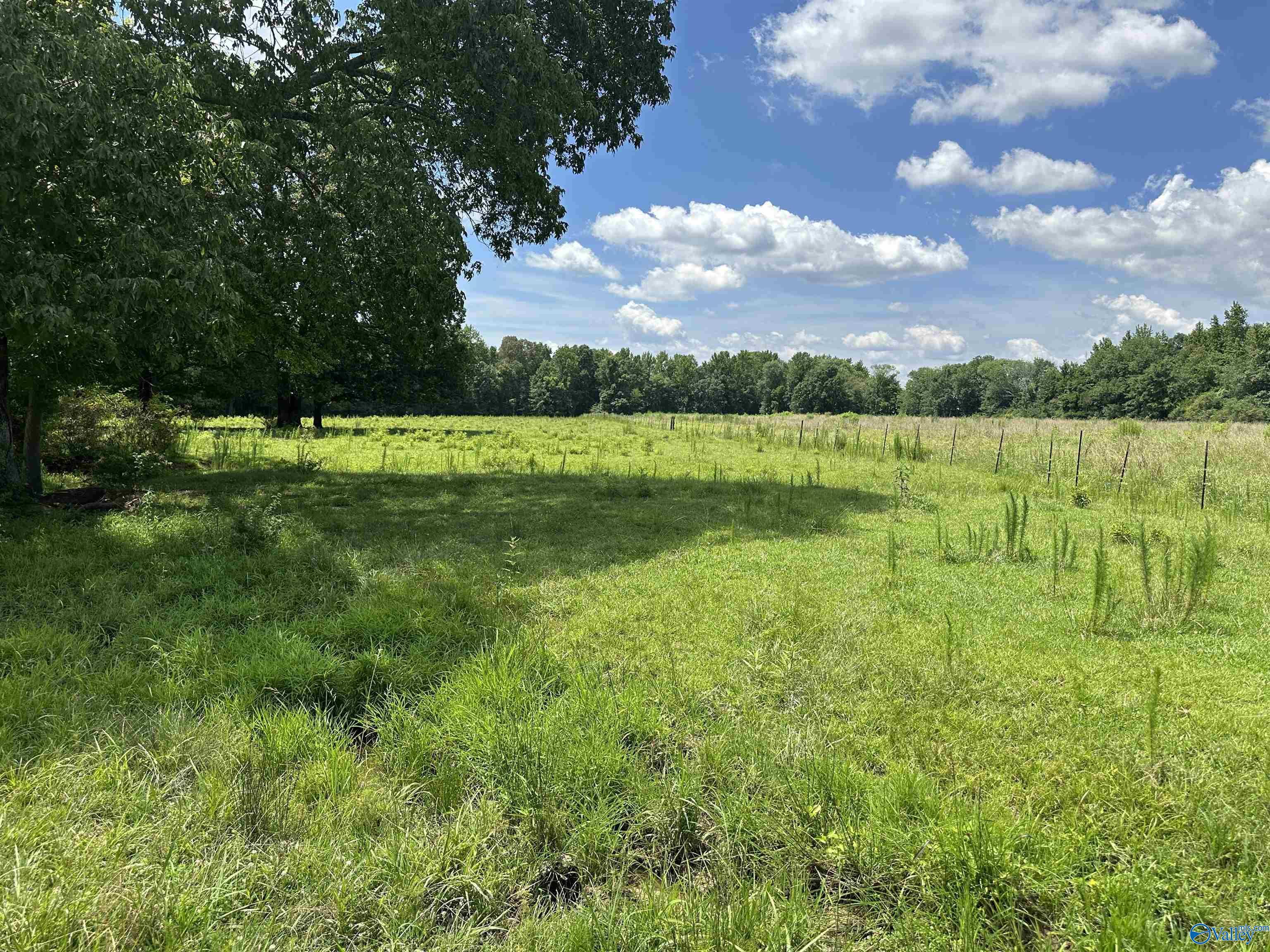 Property Photo: 9.2 Ham Road AL 35611