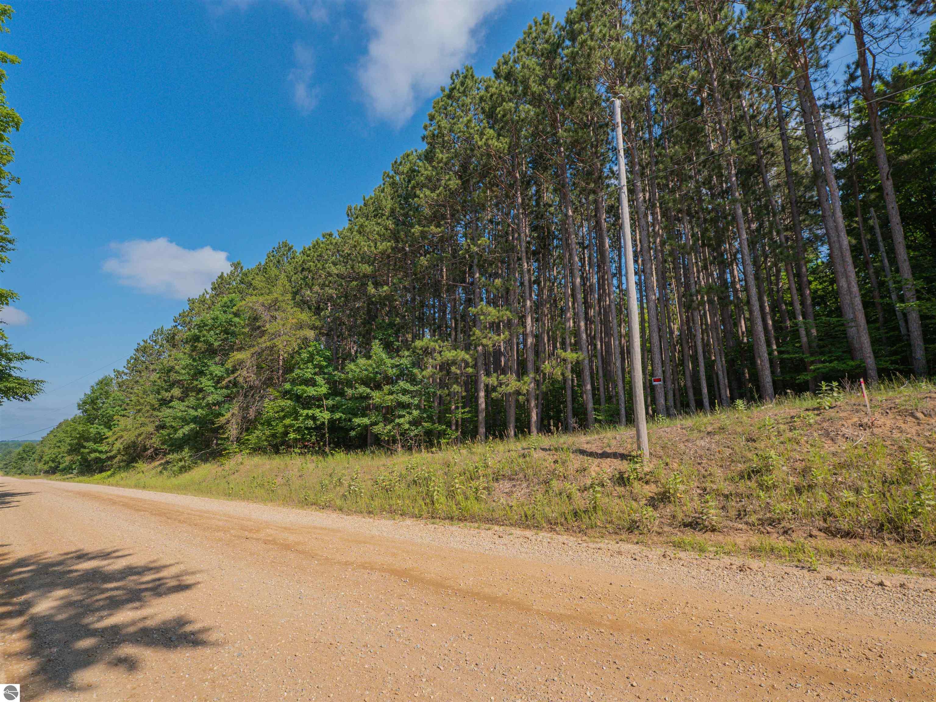 Property Photo: Vl Phelps Road MI 49663