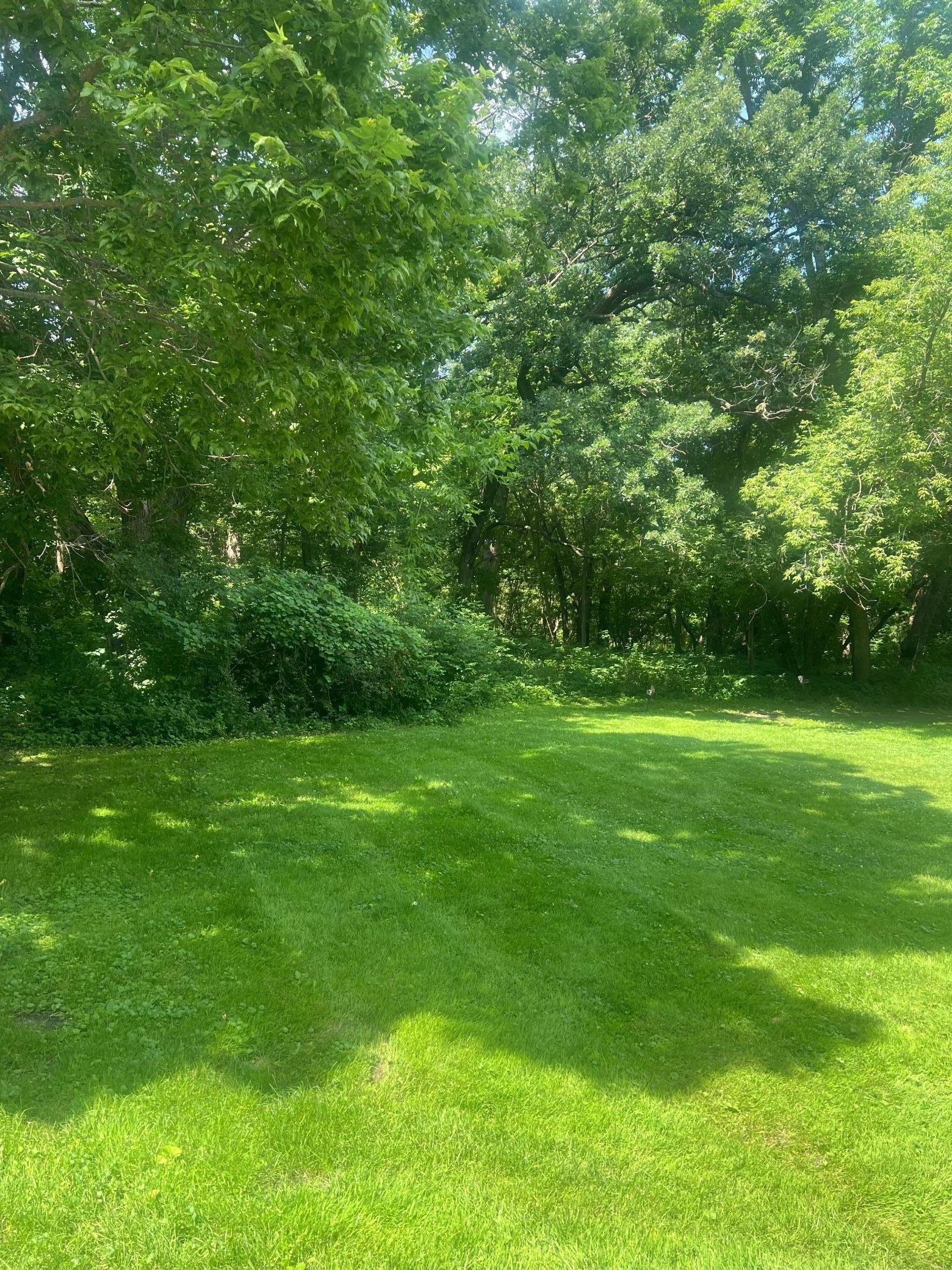 Property Photo: Tbd Lot 2 Envelope 1 Baycrest Road MN 56334