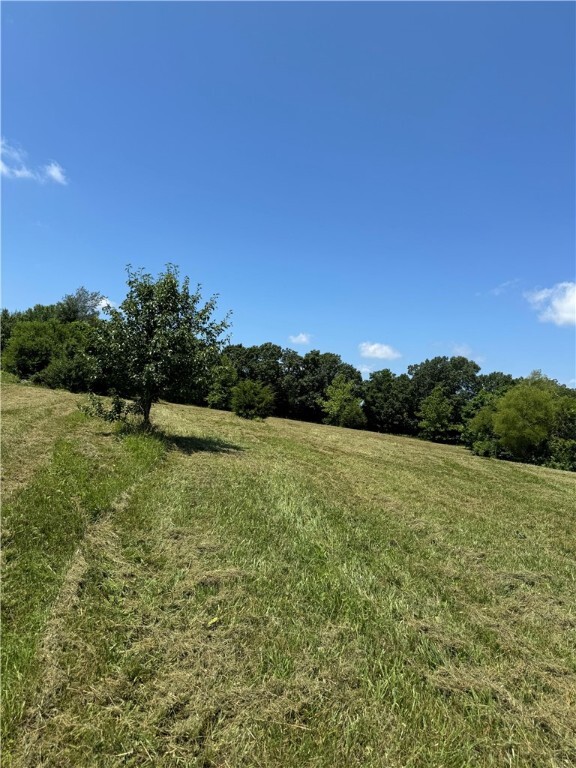 Tbd Lot 24 Blockade Village North  Seligman MO 65745 photo