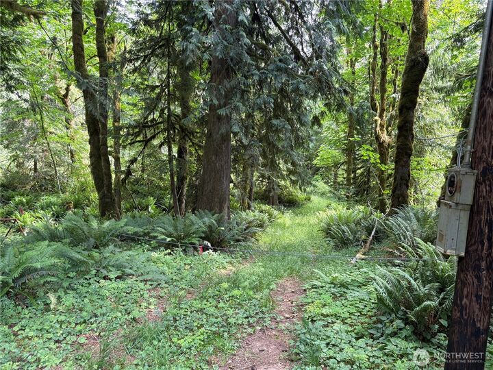 Property Photo:  0  Pigeon Springs Road  WA 98570 