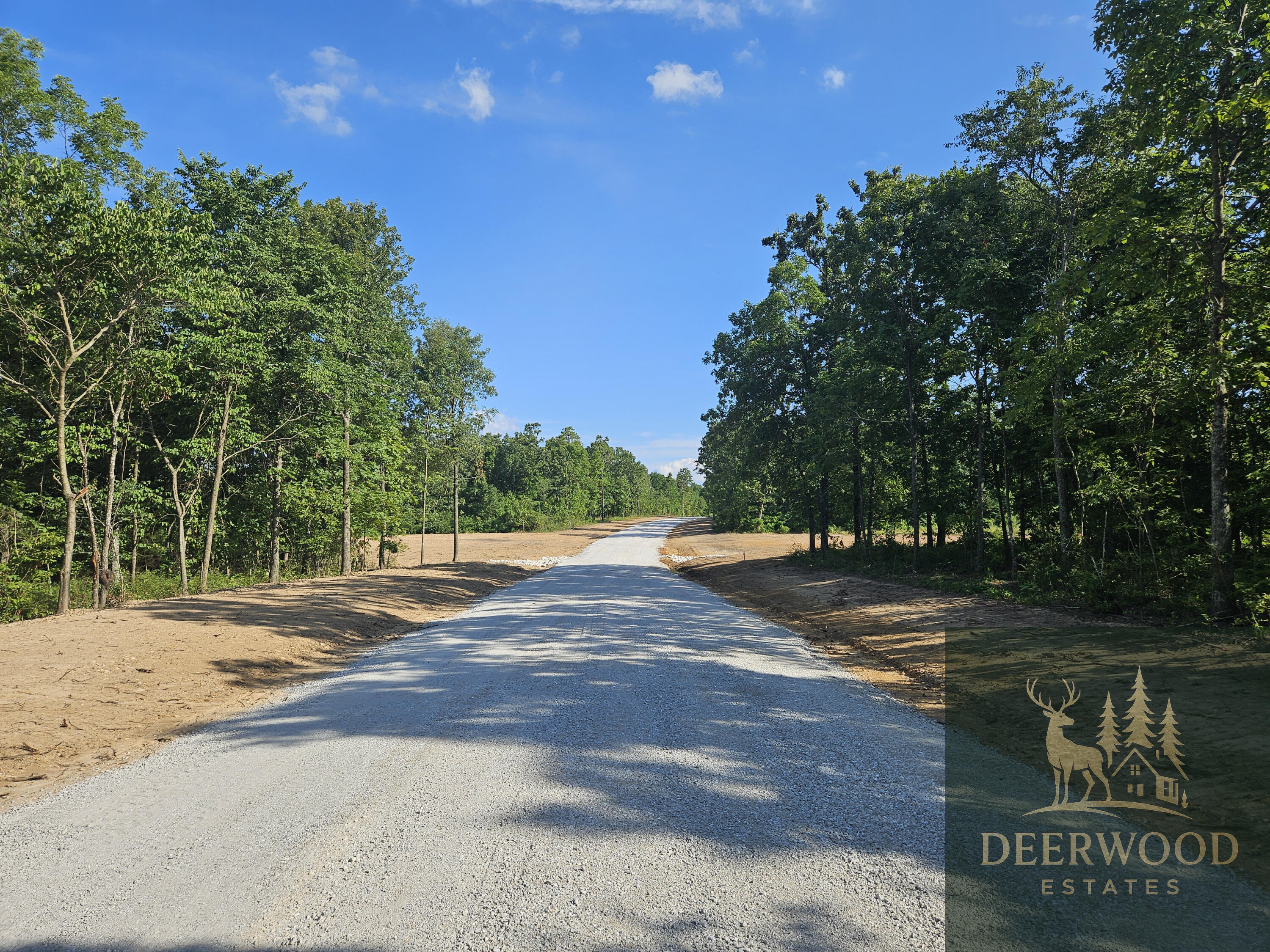 Lot 1 Deerwood Estates  Aurora MO 65605 photo
