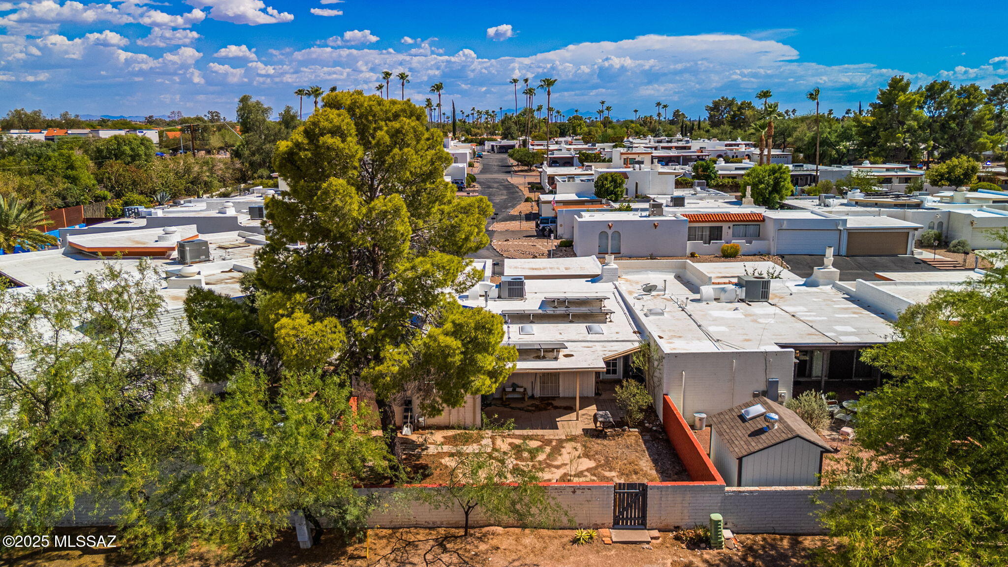 Property Photo:  2154 N Calle De Vida  AZ 85715 