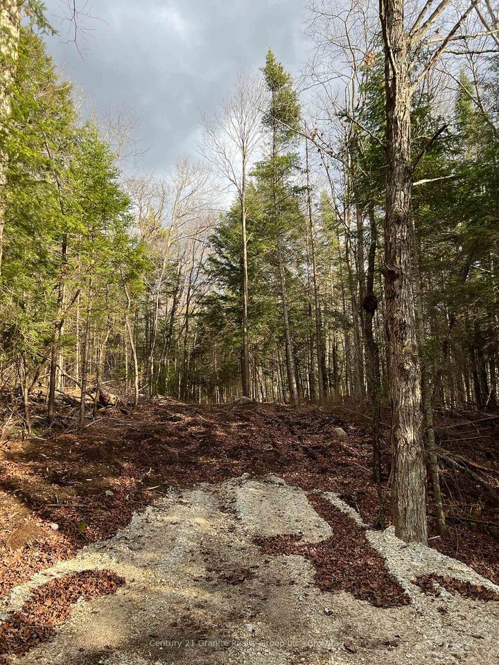 Lot 27 Bushwolf Lake Road  Dysart Et Al ON K0M 1S0 photo