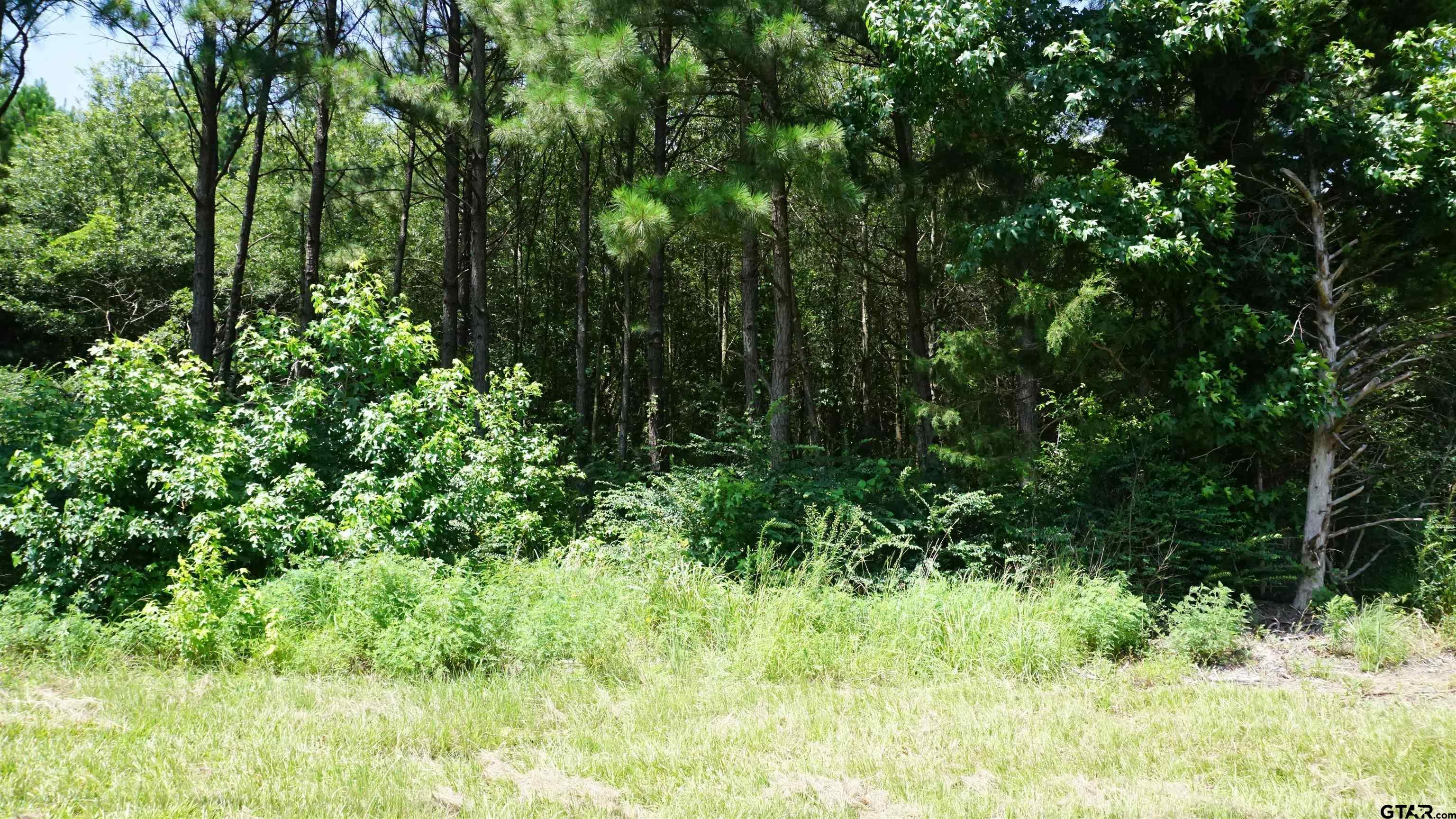Property Photo: Tbd Hwy 80 TX 75765
