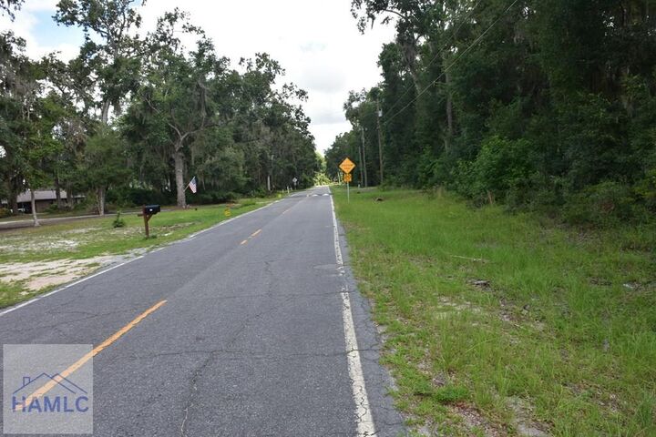 Property Photo:  Lot 42 Japonica Drive  GA 31320 
