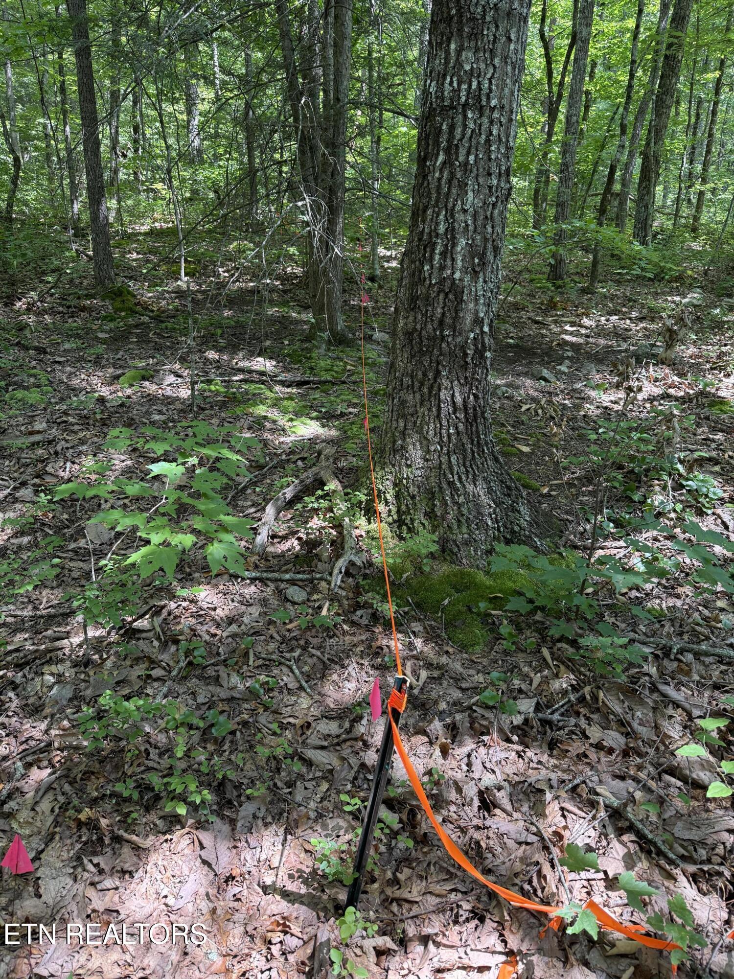 Property Photo: 0 Goose Creek Rd TN 37865