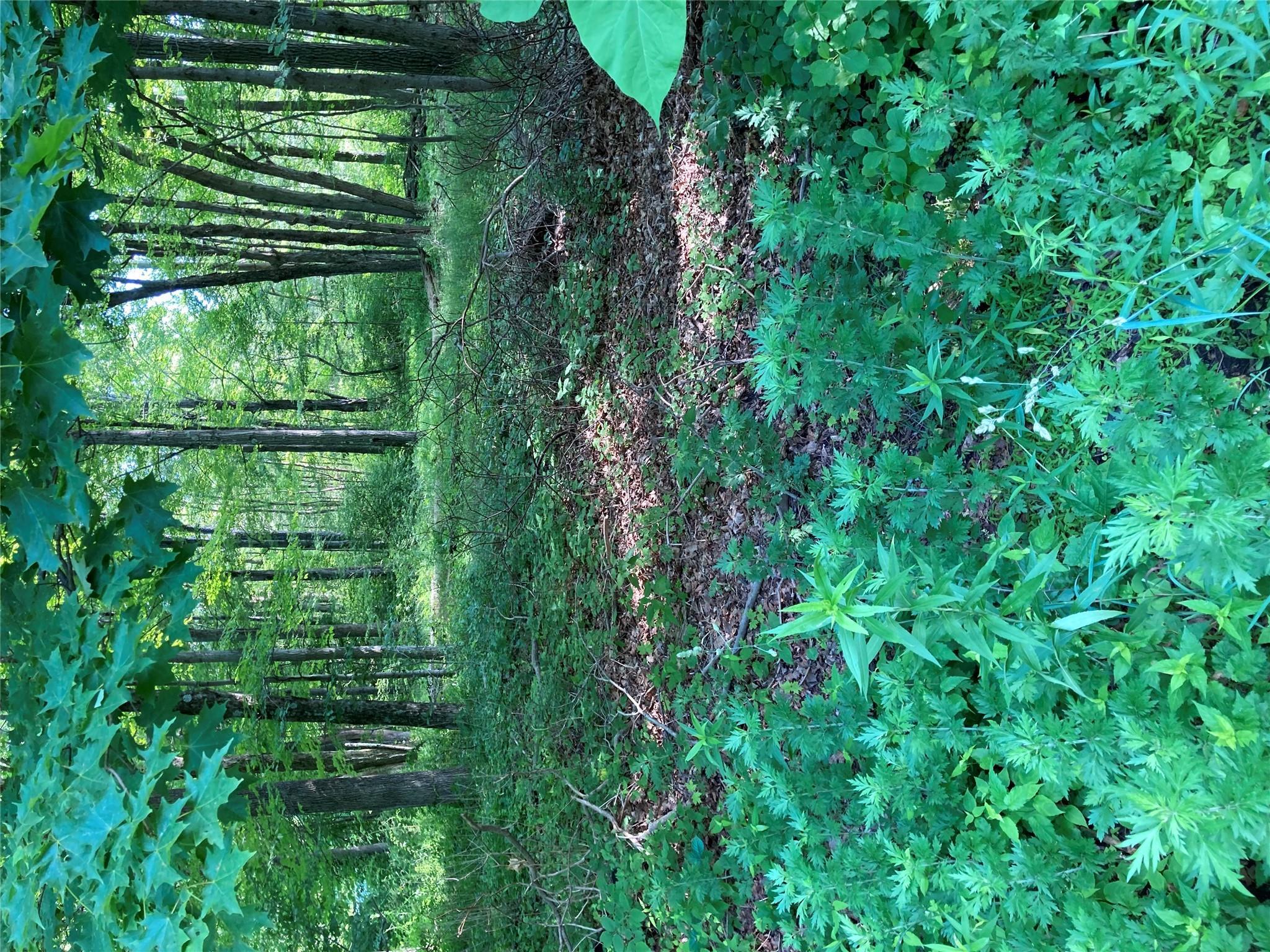 Property Photo: Adam Wagner Lane NY 10541