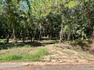 Property Photo: 717 Cadillac Avenue AL 36528