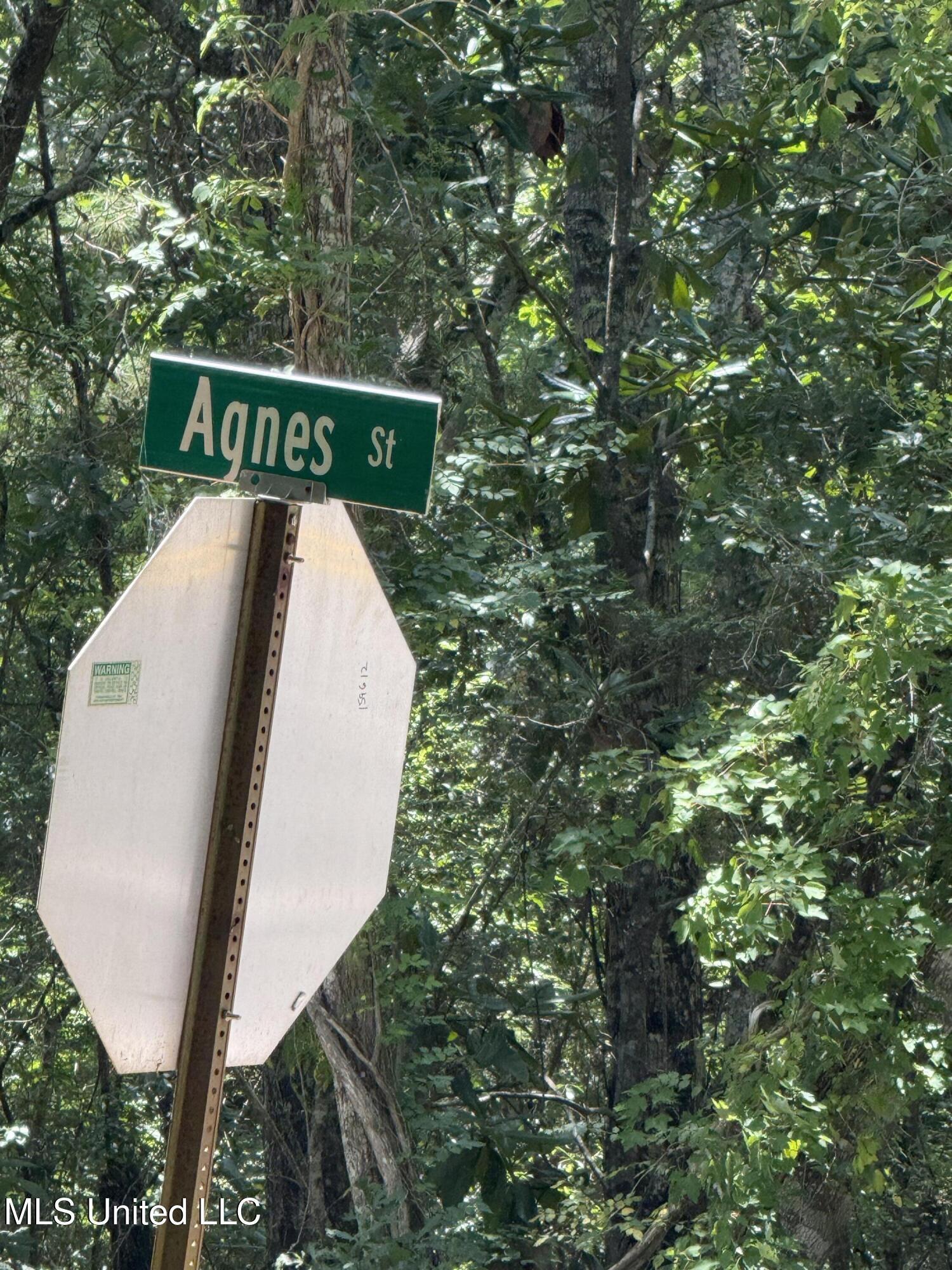 Property Photo: Nhn North St Lot 6 MS 39564