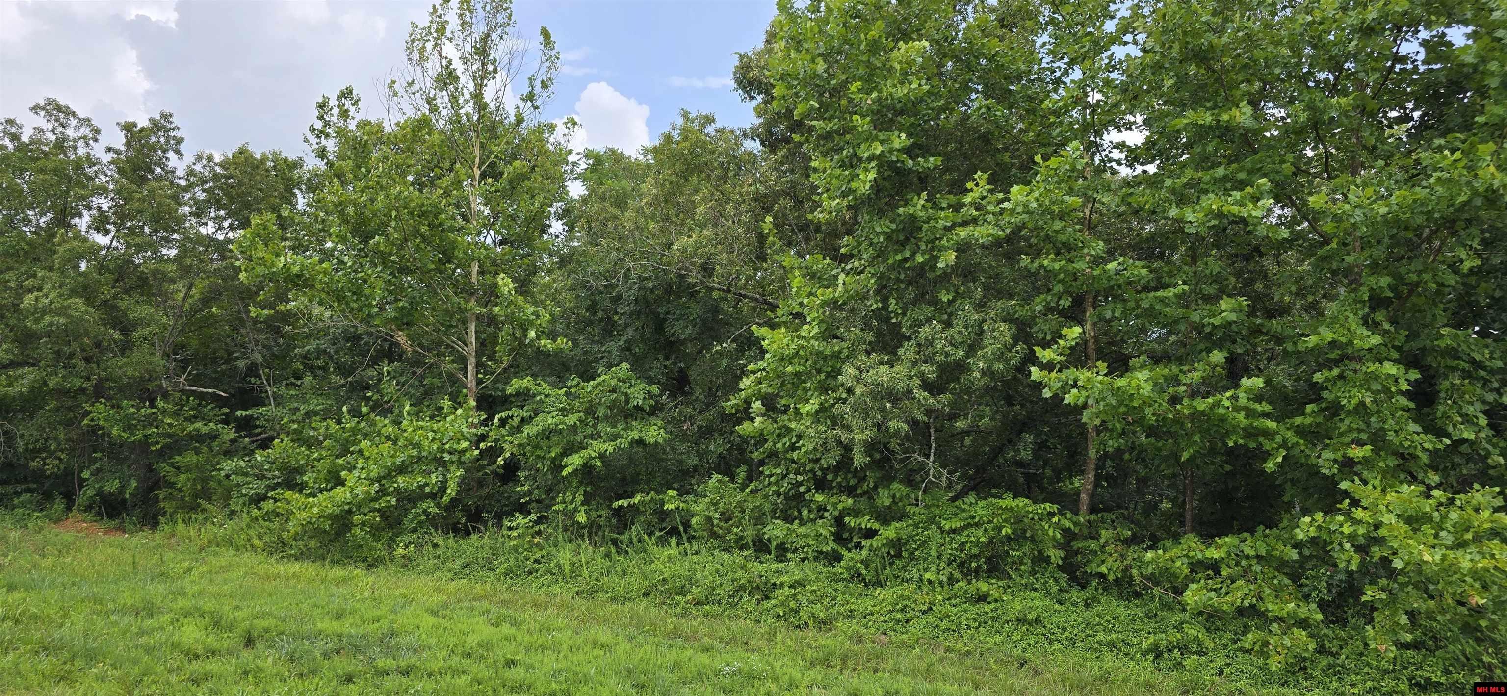 Property Photo: 001-05384-002 Hwy 62/412 West AR 72687