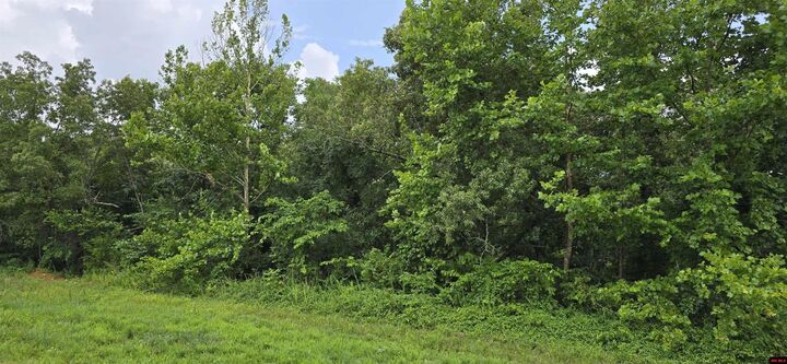 Property Photo:  001-05384-002 Hwy 62/412 West  AR 72687 