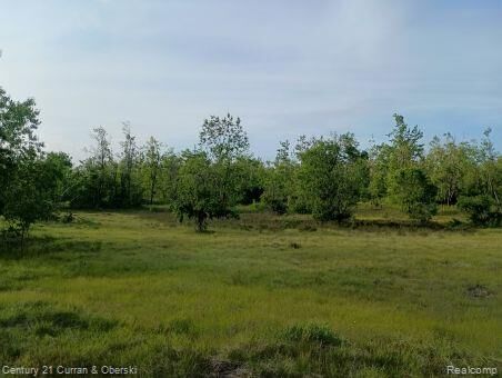 Property Photo: 0000 Finnegan Rd, MI 49751