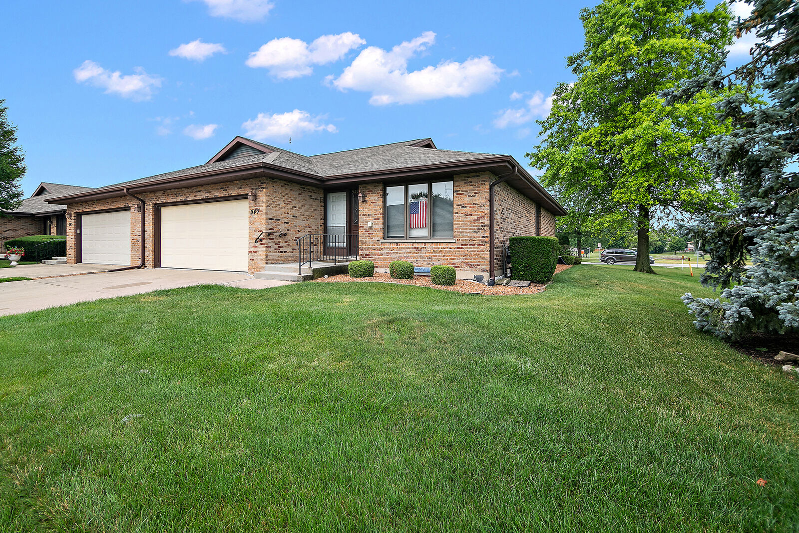 Property Photo: 947 Winter Park Drive 947 IL 60451