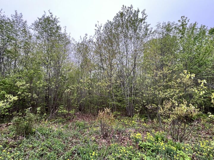 Property Photo: 1660 Main Road ME 04418