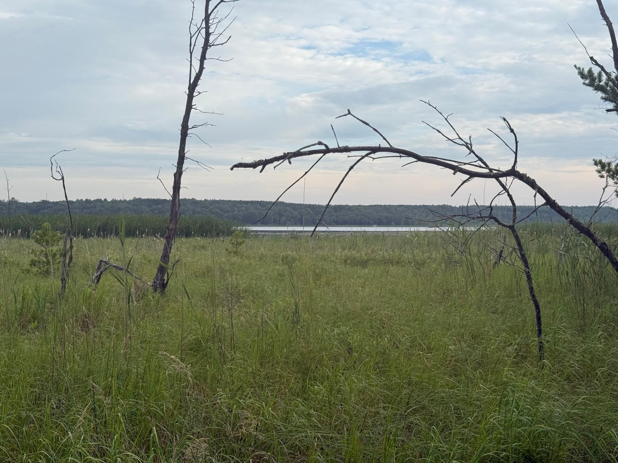 Property Photo:  14677 Chokecherry Drive  MN 56467 
