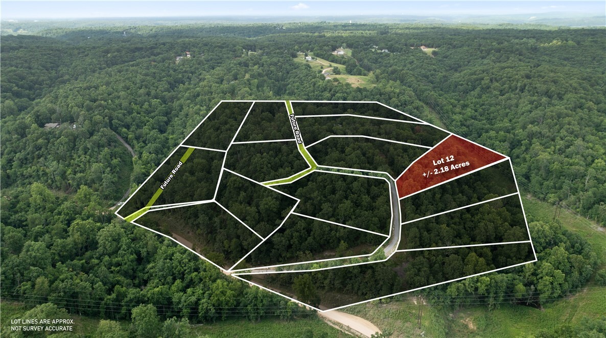 Esculapia Hollow Road Lot 12  Rogers AR 72758 photo