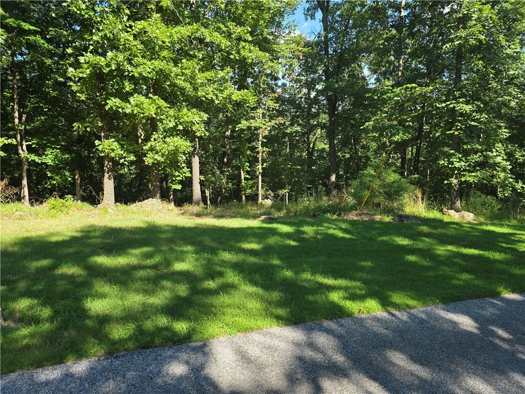 Property Photo:  Esculapia Hollow Road Lot 11  AR 72758 