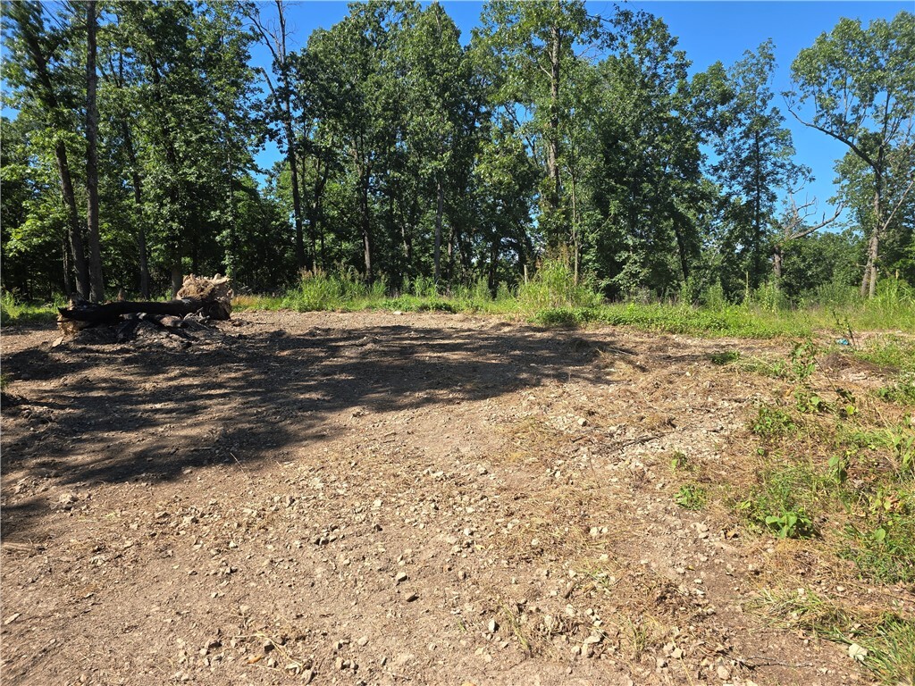 Property Photo:  Esculapia Hollow Road Lot 14  AR 72758 