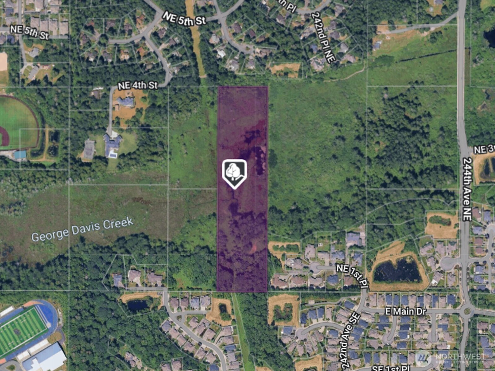 408 Approx  239th Avenue NE  Sammamish WA 98074 photo