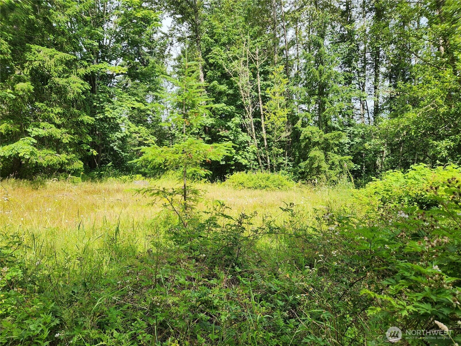Property Photo:  4 Xx  239th Avenue NE  WA 98074 