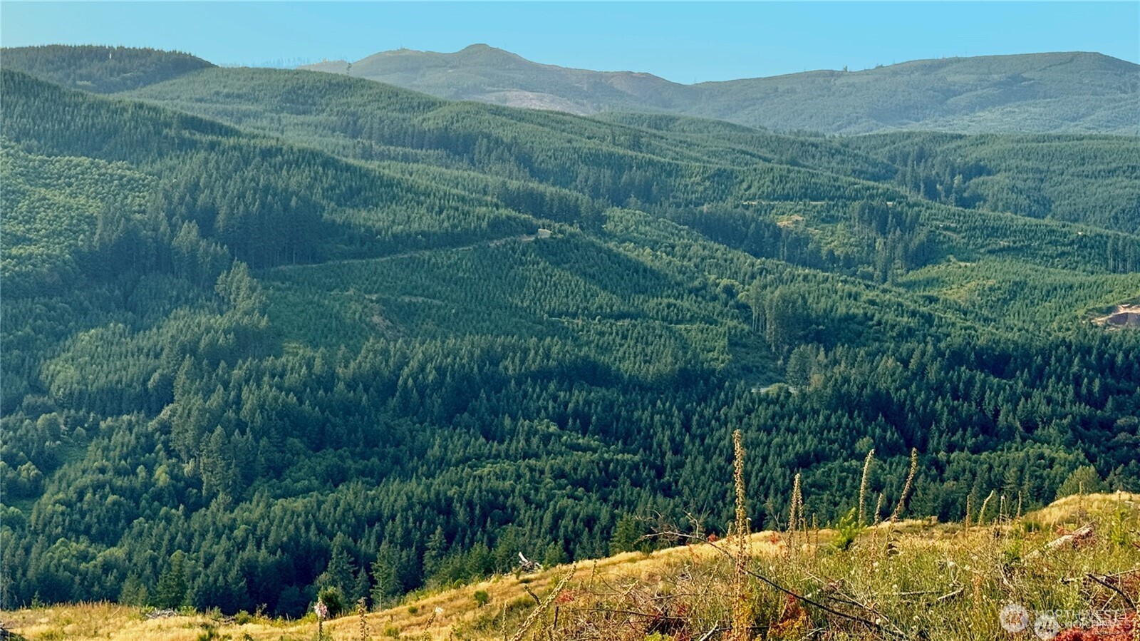 Property Photo:  3727  Little Kalama River Road H  WA 98584 