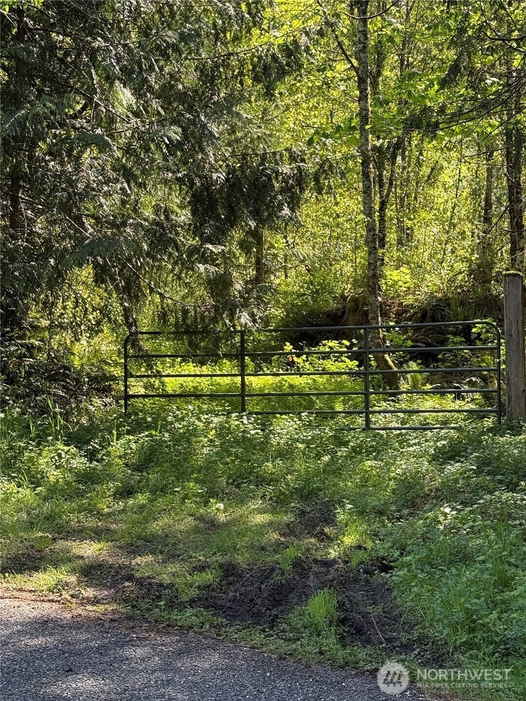 0  Alger Ccc Road  Sedro Woolley WA 98284 photo