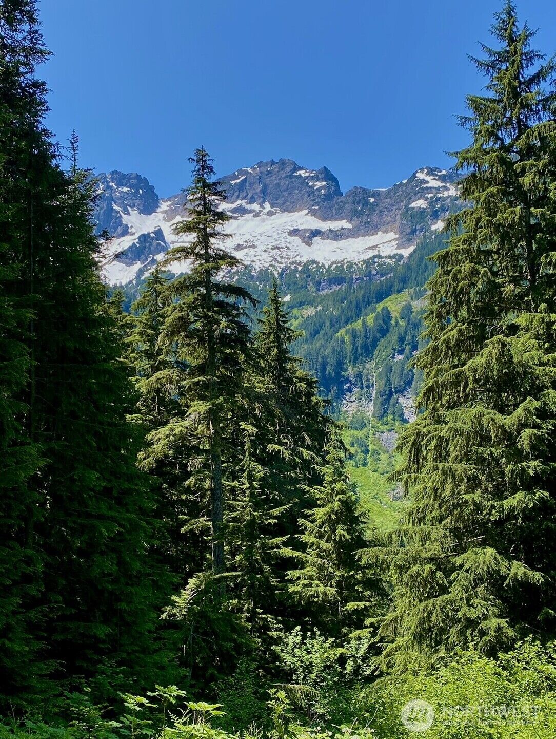 Property Photo: 0 Xx Mountain Loop Highway WA 98252