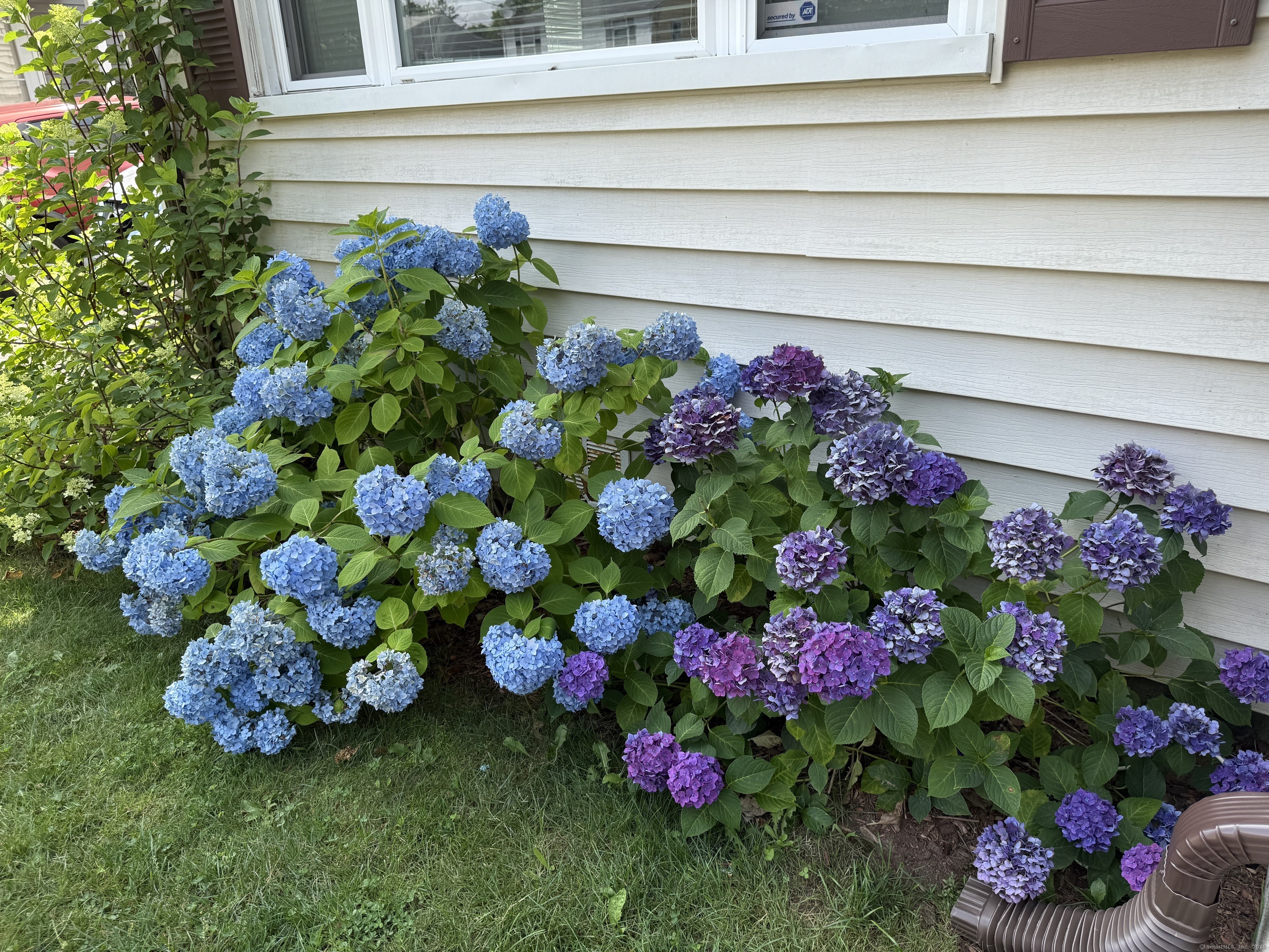 Property Photo:  79 Wooster Avenue  CT 06615 