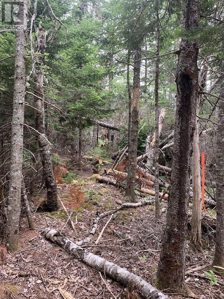 Property Photo:  Vv4 Lot 4 Hunter Road  NS B0M 1Z0 