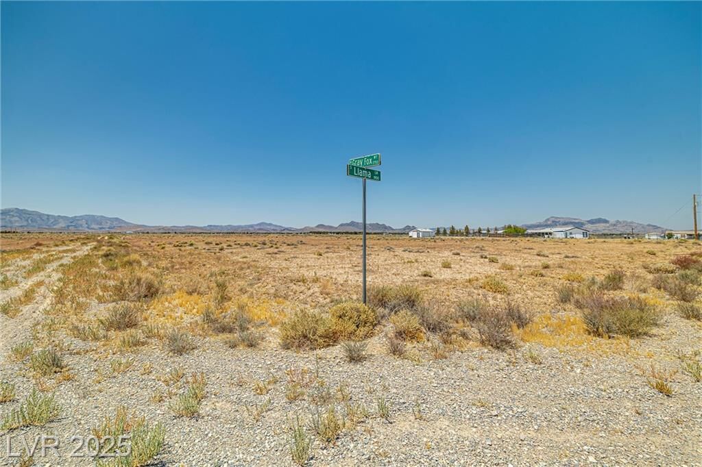 Property Photo:  1690 West Gray Fox Way  NV 89048 