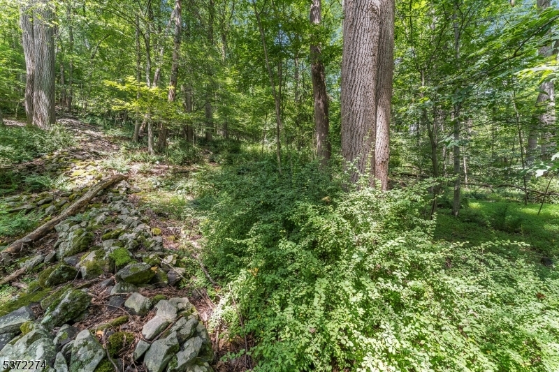 Property Photo: 0 Sweet Hollow Road NJ 08848