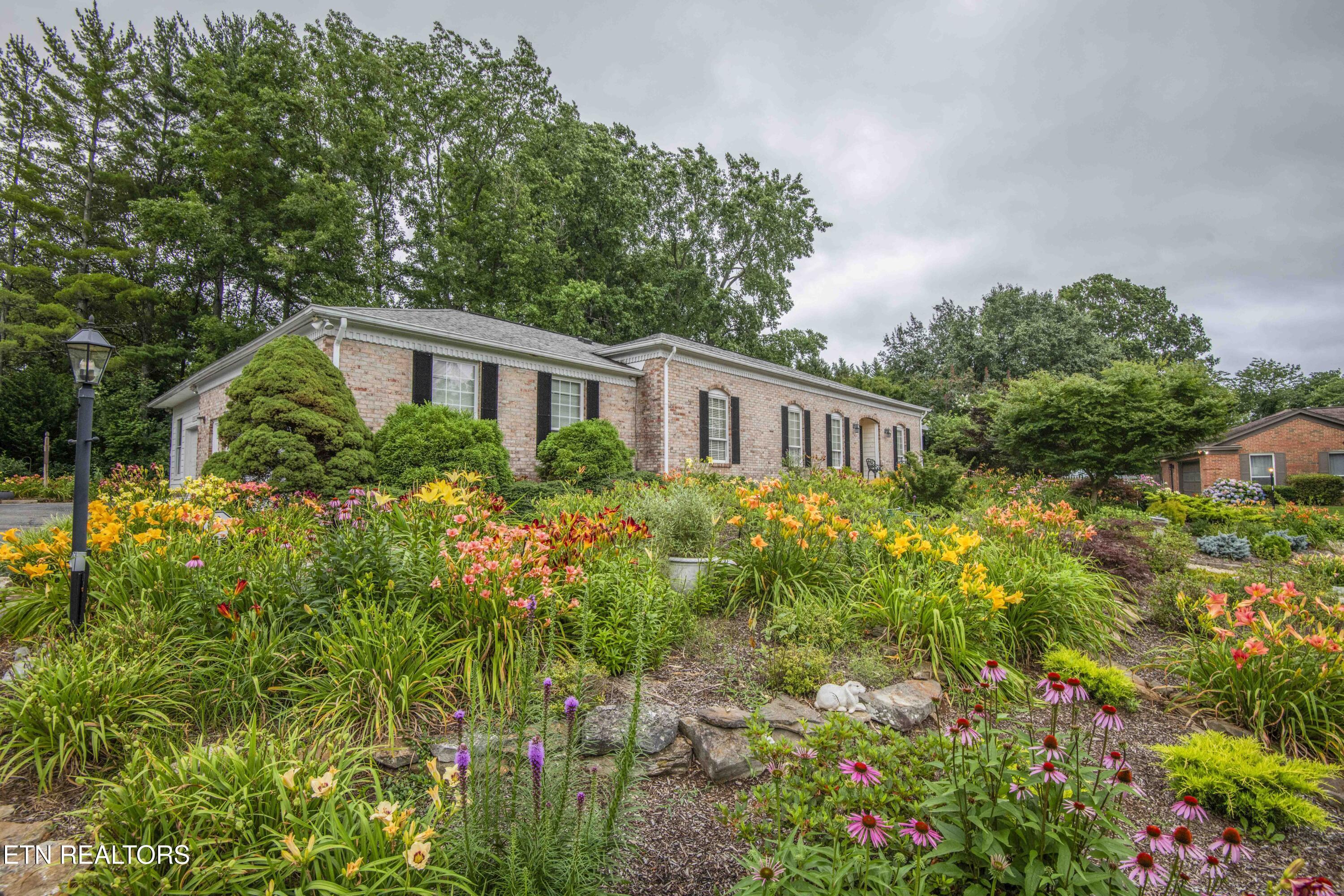 Property Photo: 902 Ruffian Lane TN 37923
