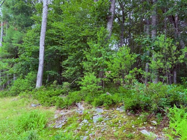 Property Photo: Lot 41 Leers Road NY 12737