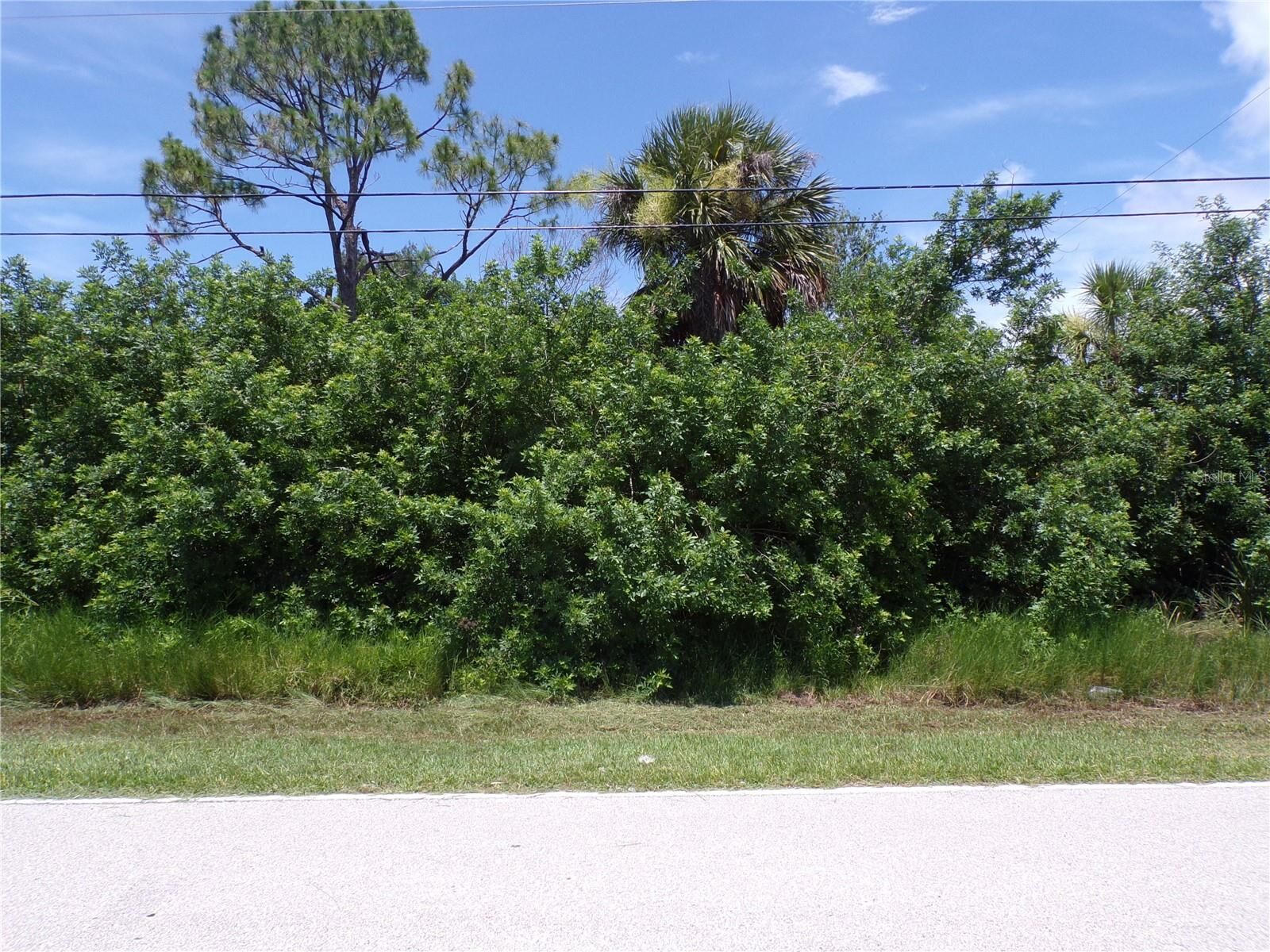 Property Photo:  3615 Vasco Street  FL 33950 