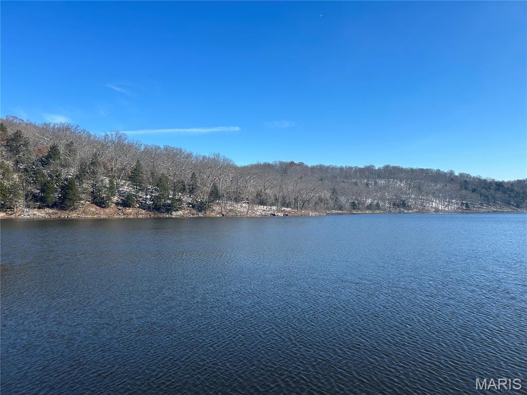 Property Photo: 60 Lakefront Court MO 63341