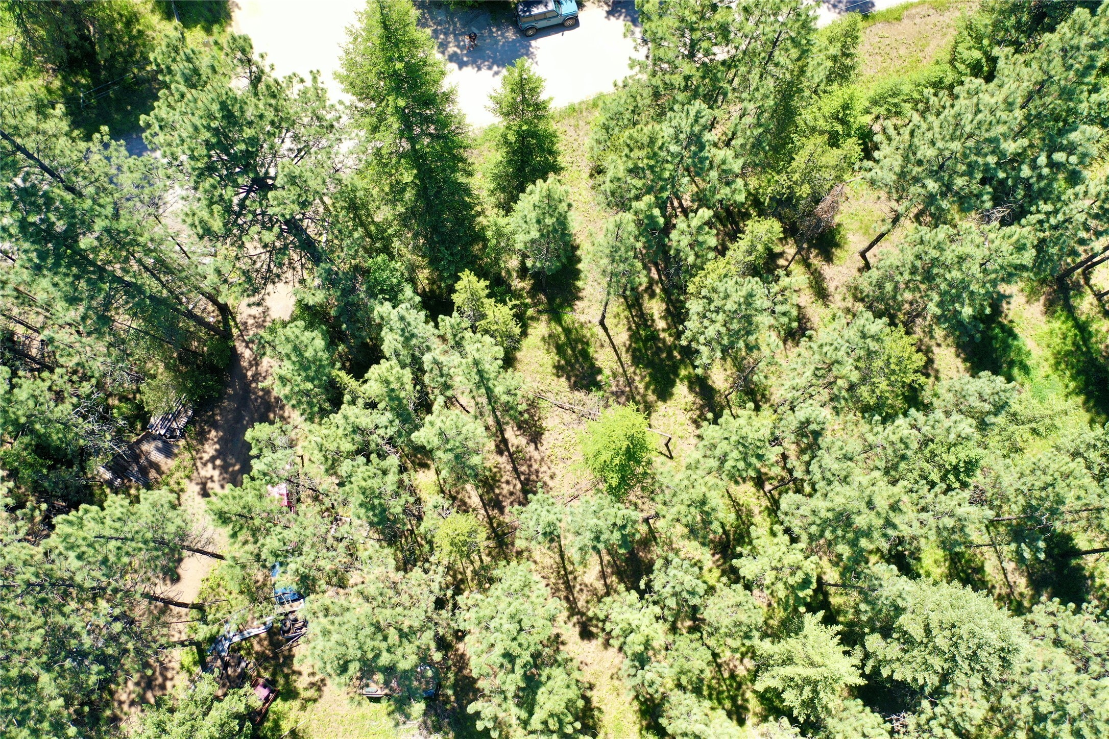 Property Photo: Nhn Robins Nest Lane MT 59872