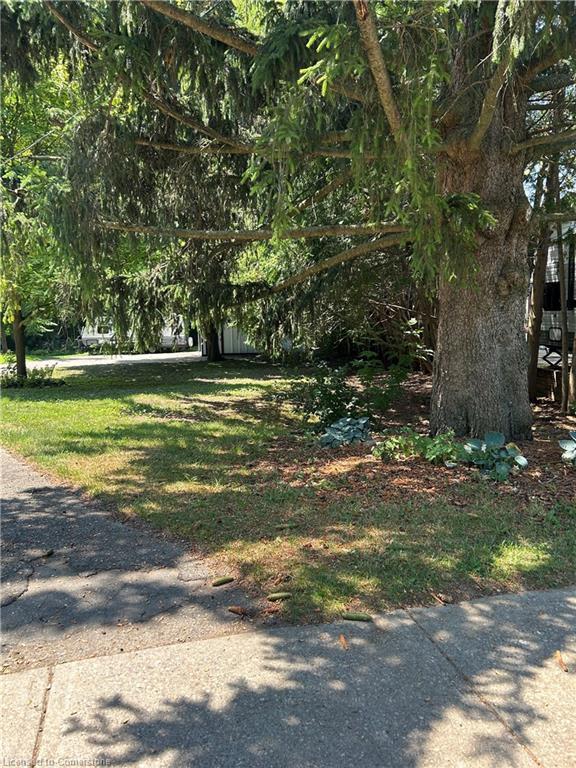 Property Photo:  33 Islington Avenue  ON N1E 1B2 