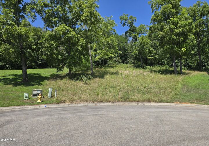 Lot 5 Morningside Lane  Dandridge TN 37725 photo