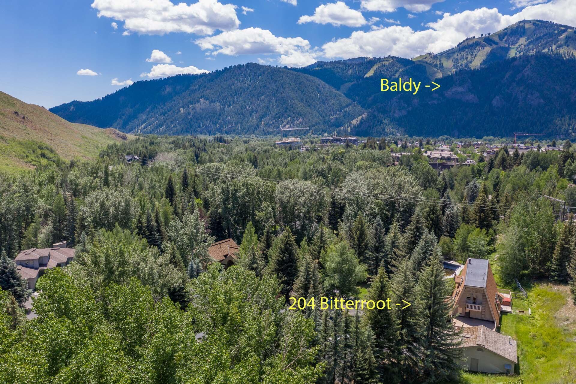 Property Photo:  204 Bitterroot Dr  ID 83353 