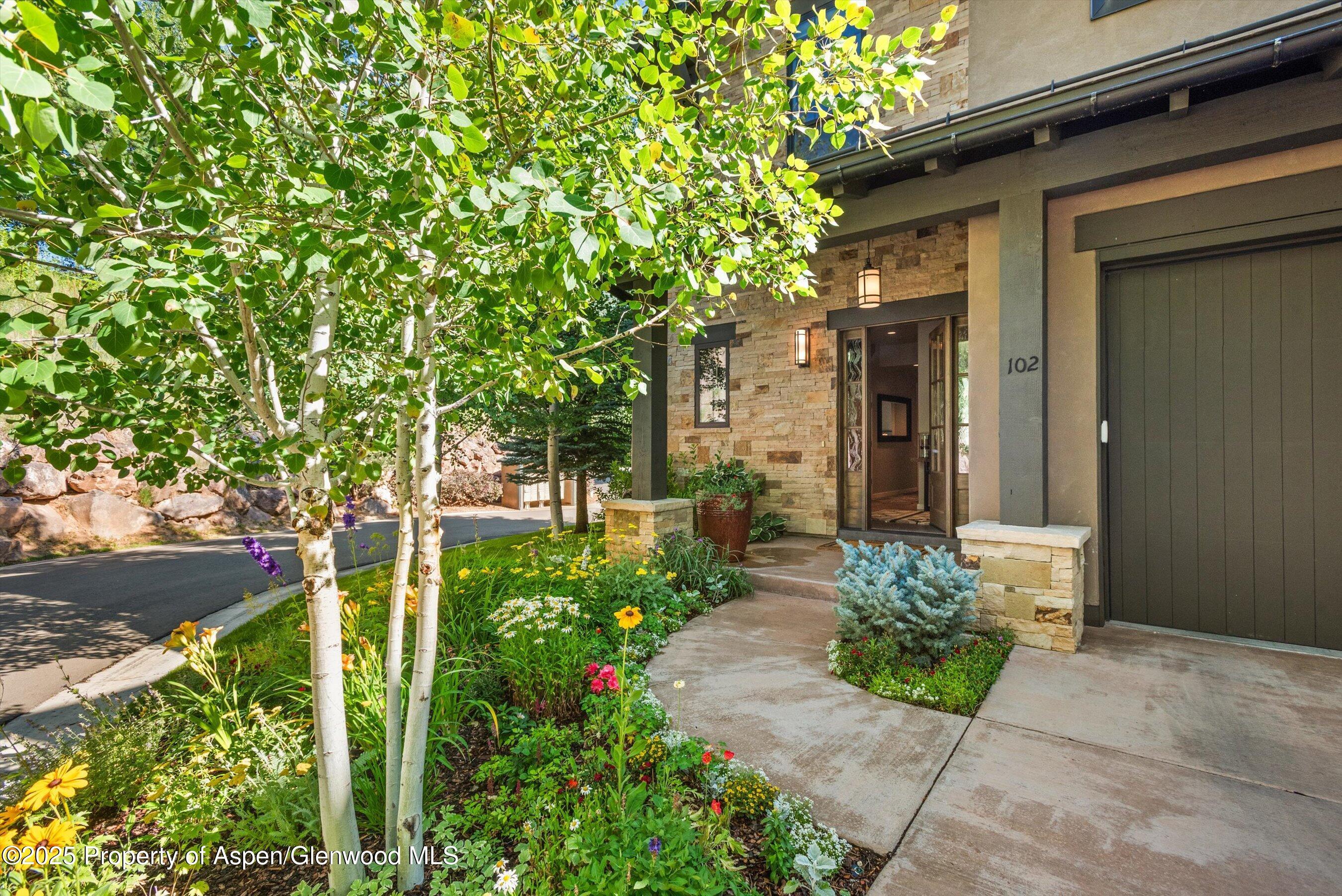 Property Photo:  102 Wild Spring Lane  CO 81621 