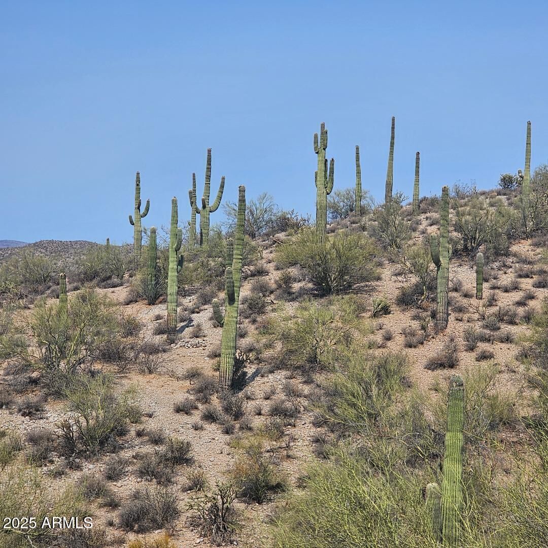 Property Photo:  5xxxx N 292nd Avenue 0  AZ 85390 