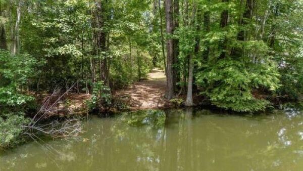 Property Photo: Tbd Rutledge Drive SC 29048