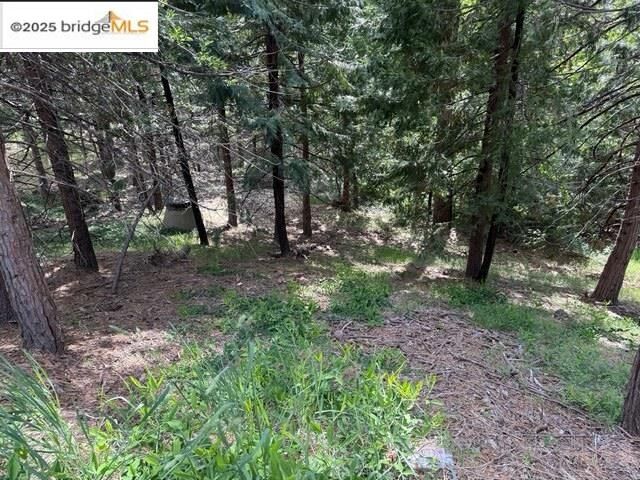 Property Photo:  0000 Cedar Pines Ave  CA 95383 